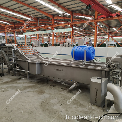 Machine à laver à bulles de légumes avec stérilisation